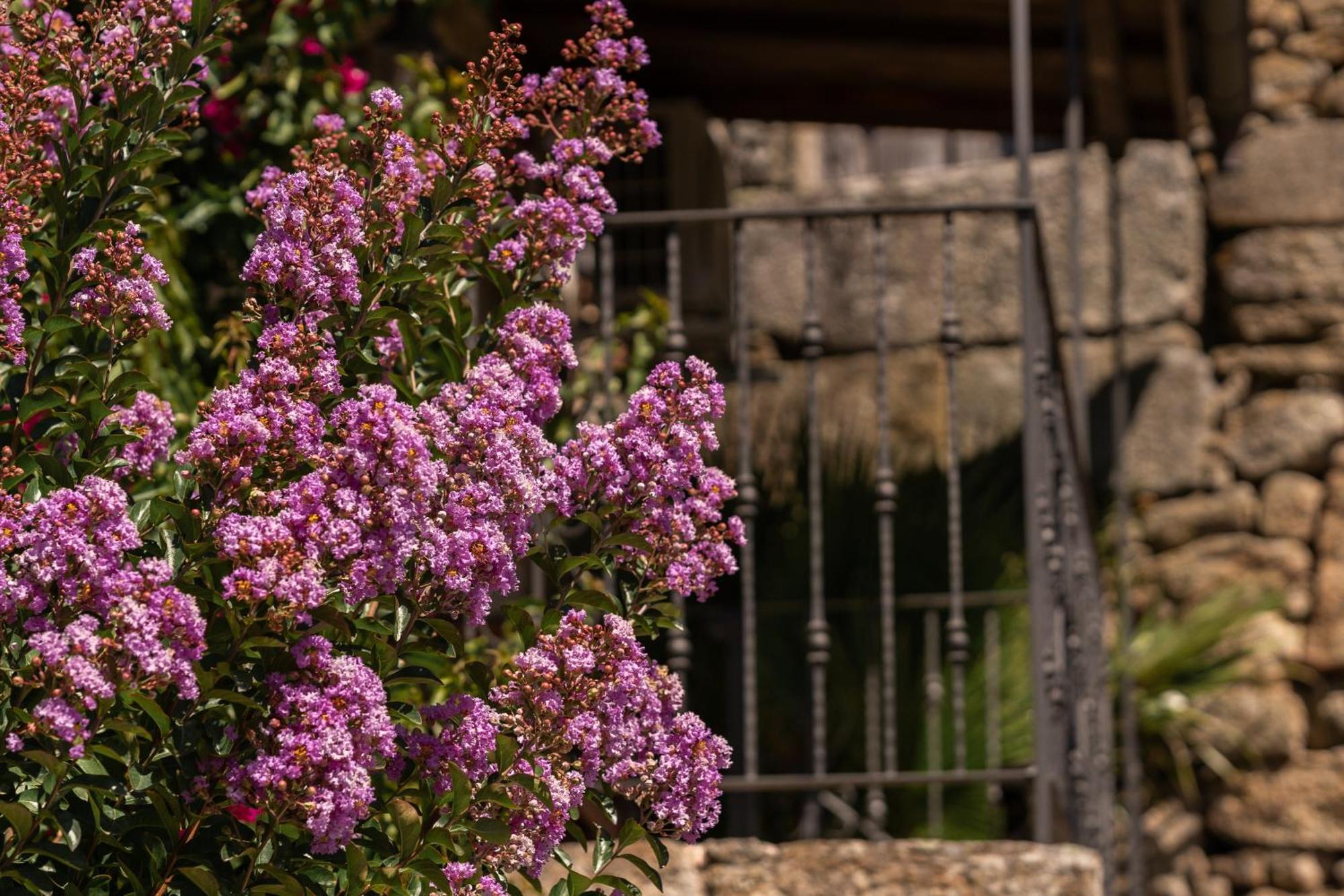 Country house Casa A Chairina Y A Revolta